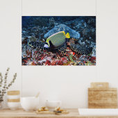 Fotobomber Poster (Küche)