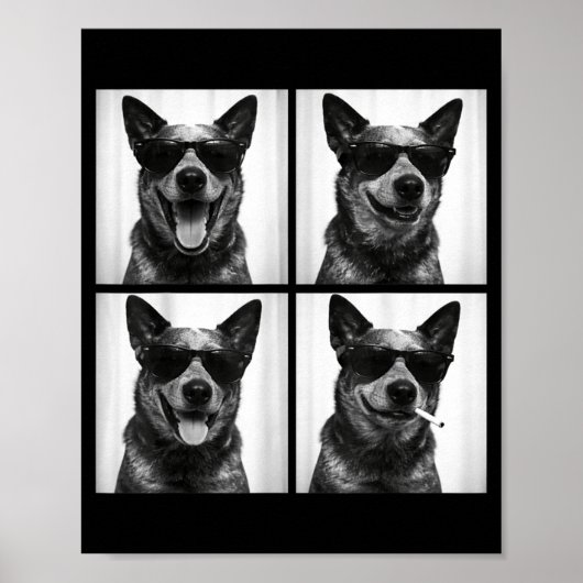 Fotobooth Australian Cattle Dog Lustiger Hund Self Poster (Vorne)