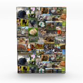 FotoCollage, Fotoblock (Vorderseite)