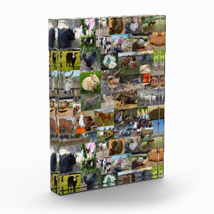 FotoCollage, Fotoblock