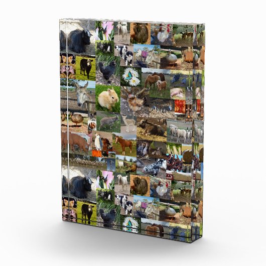 FotoCollage, Fotoblock (Rechts)