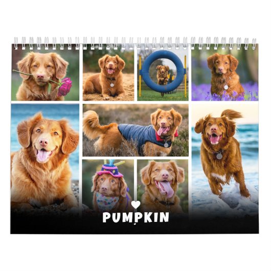 Fotocollage für Hunde Kalender (Titelbild)