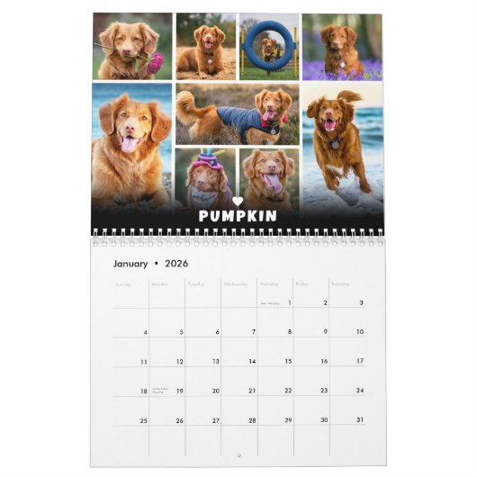 Fotocollage für Hunde Kalender (Jan 2026)