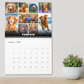 Fotocollage für Hunde Kalender