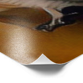 🦉 FOTODRUCK (Ecke)