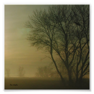  FOTODRUCK