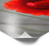 Fotodruck Die Rote Mohnblume (Ecke)