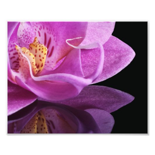 Fotodruck Orchidee (Vorne)