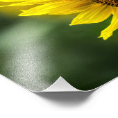 Fotodruck - Sonnenblume in der Sonne (Ecke)