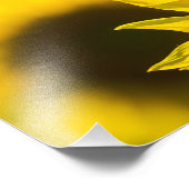 Fotodruck Sonnenblumen Eleganz (Ecke)