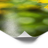 Fotodruck Sonnenblumen Eleganz (Ecke)