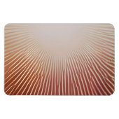 Fotodrucke Magnet (Horizontal)