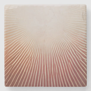 Fotodrucke Steinuntersetzer