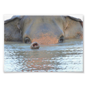 Fotodrucke: Tier-und Natur-Fotografie Fotodruck