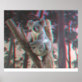 Fotogene Koala-Posen für die Kamera in 3D Poster