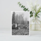 Fotograf, der aus dem Schlamm gezogen wird Postkarte (Stehend Vorderseite)