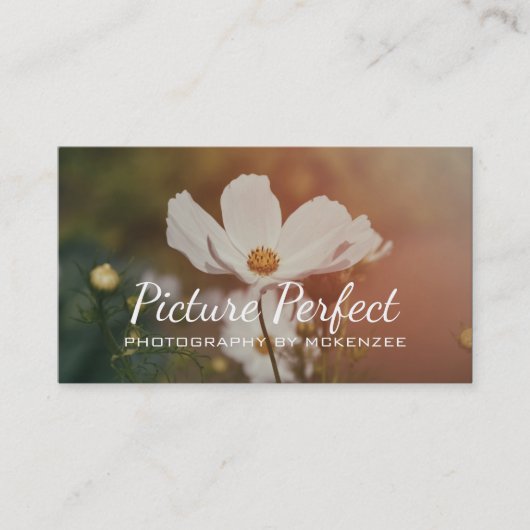 Fotograf, Fotografie, Visitenkarte (Vorderseite)