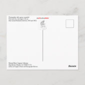 Fotograf mit Kamera vom Haken suspendiert Postkarte (Rückseite)