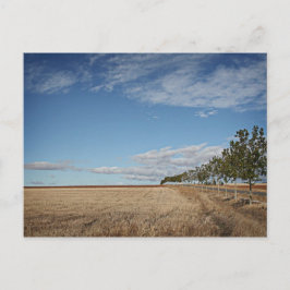 fotografias del Camino de santiago Postkarte