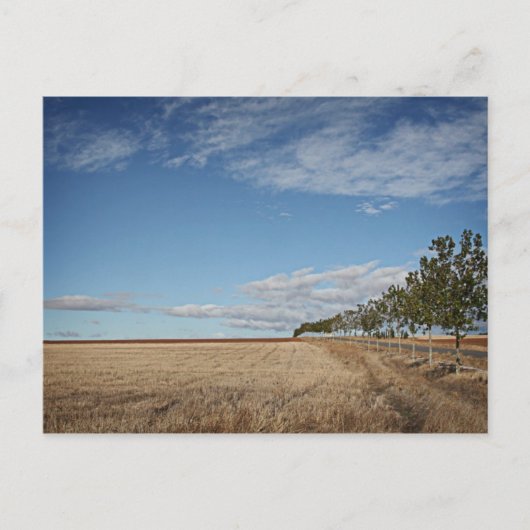 fotografias del Camino de santiago Postkarte (Vorderseite)