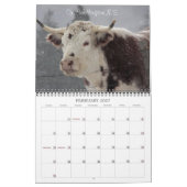 Fotografie 2013 Debbie Roberts Kalender (Feb 2027)