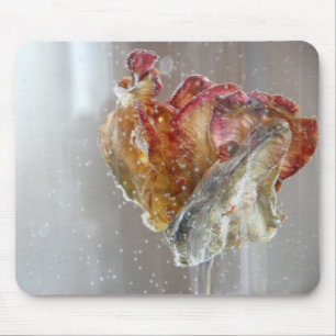Fotografie 2013 der Wasser-Tulpe 1 Mousepad