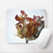 Fotografie 2013 der Wasser-Tulpe 4 Mousepad (Mit Mouse)