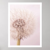 Fotografie an der Wand Poster (Vorne)