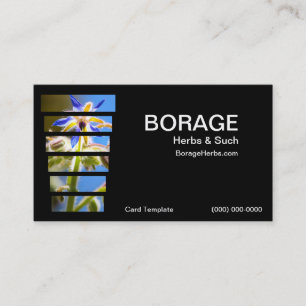 Fotografie Borage KräuterVisitenkarten Visitenkarte