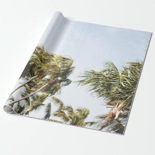 FOTOGRAFIE DER GRÜNEN KOKOUTBÄUME UNTER DEM TITE GESCHENKPAPIER