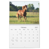 Fotografie der Pferde Kalender (Feb 2027)