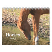 Fotografie der Pferde Kalender (Titelbild)