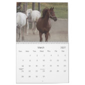 Fotografie der Pferde Kalender (Mär 2027)