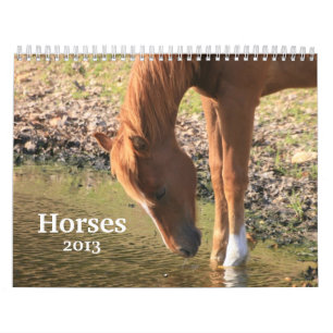 Fotografie der Pferde Kalender