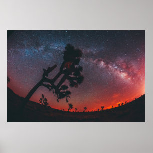 FOTOGRAFIE DER SILHOUETTE POSTER