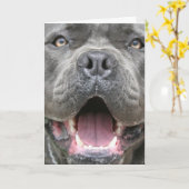 Fotografie der Stock Corso Gruß-Karte Karte (Gelbe Blume)