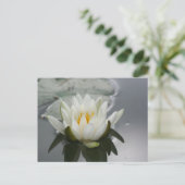 Fotografie der Wasserlilie Postkarte (Stehend Vorderseite)