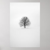 FOTOGRAFIE DES BAUES POSTER (Vorne)