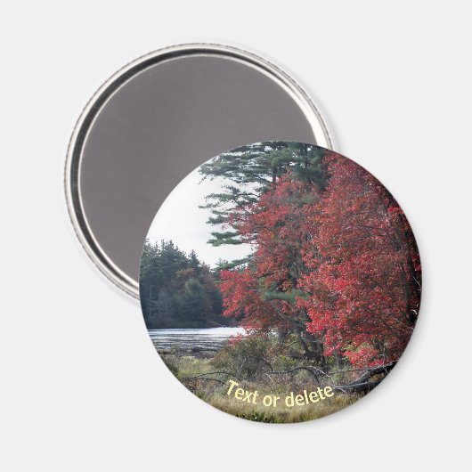 Fotografie des Herbstblattteiches Magnet (Vorderseite/Rückseite)