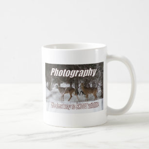 Fotografie, die beste Weise, wild lebende Tiere ZU Kaffeetasse