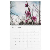 Fotografie durch Kalender Chris 2011 (Feb 2027)