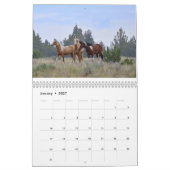 Fotografie durch wildes Pferdekalender Carolyn Kalender (Jan 2027)