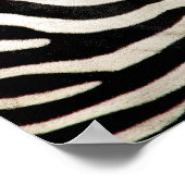 Fotografie eines echten Zebras Pelz Poster (Ecke)