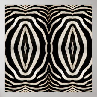 Fotografie eines echten Zebras Pelz Poster