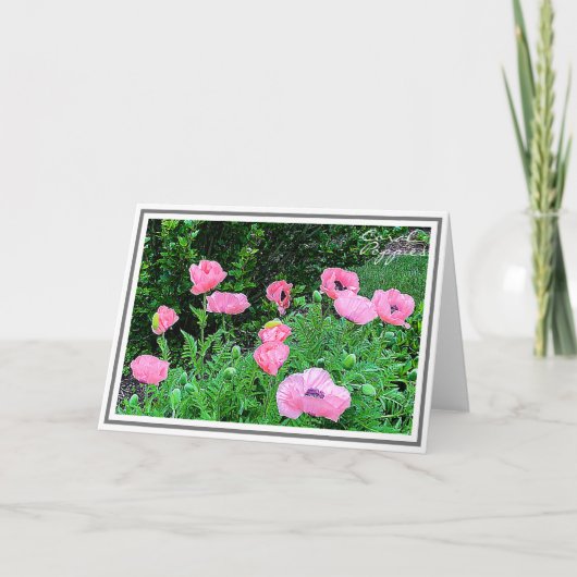 Fotografie Elf korallenfarbene Pflaumen im Garten Karte (Vorderseite)