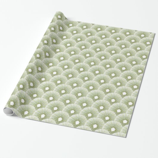 Fotografie Grüner Seeigel Geschenkpapier (Ungerollt)