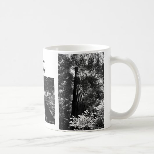 Fotografie Kaffee-TasseDonna Uson Kaffeetasse (Rechts)