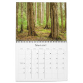 Fotografie-Kalender 2010 Kalender (Mär 2027)