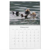 Fotografie-Kalender 2010 Kalender (Feb 2027)