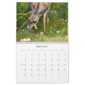 Fotografie-Kalender 2011 Kalender (Mär 2027)